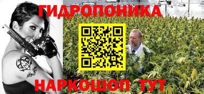 шишки Донецк
