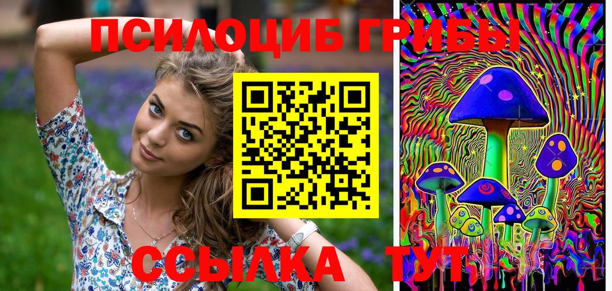 Буйнакск  Псилоцибиновые грибы GOLDEN TEACHER  Псилоцибиновые грибы ЛСД  Вход с VPN 