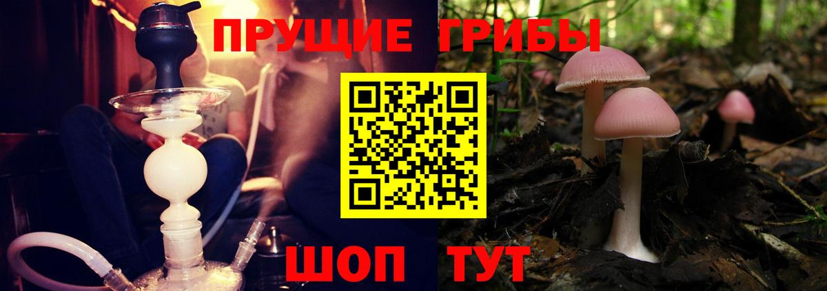 Псилоцибиновые грибы MAGIC MUSHROOMS Буйнакск