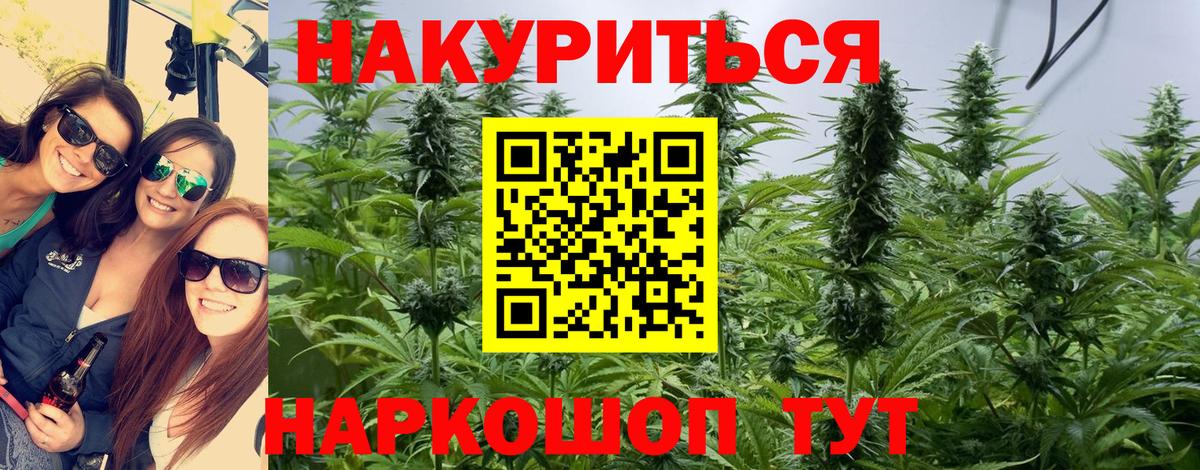 Марихуана конопля Буйнакск